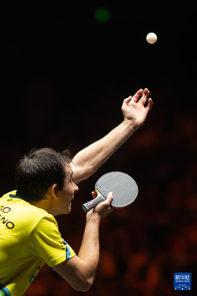 完全有可能 完全有可能